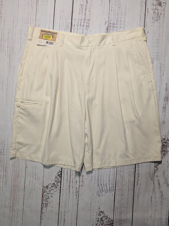 Roundtree & Yorke Other - Roundtree & Yorke Caribbean Silk Shorts Cream Size 38 NWT